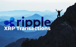 Ripple’s Top Exec: Growth in Number of XRP Transactions More Important Than Rise in Notional Volume